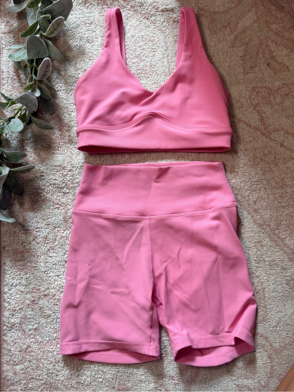 WILO The Label Pink Ribbed Sports Bra Biker Shorts Set S